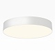 накладной светильник citilux bart cl755390