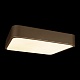 потолочный светодиодный светильник loft it flims 10228/c