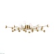 потолочная люстра freya celebrity fr5242cl-24bs