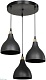 подвесной светильник toplight marjory tl1615h-03bk