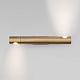 настенный светильник eurosvet tybee 40161 led латунь a063049