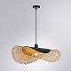 подвесной светильник arte lamp woodstock a7063sp-1bk