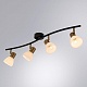 спот arte lamp falena a3117pl-4bk