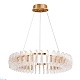 подвесной светодиодный светильник divinare anna 1138/01 lm-125