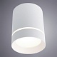 потолочный светодиодный светильник arte lamp a1909pl-1wh