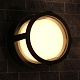 уличный потолочный светильник arte lamp ulysses a6206pf-1bk
