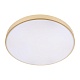 потолочный светодиодный светильник loft it flims 10228/b