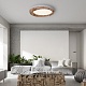 потолочный светильник imperiumloft runis 219478-26