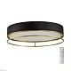 потолочный светодиодный светильник sonex avra lofty 7723/65l