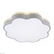 потолочный светодиодный светильник loft it axel 10225/36 grey