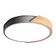 потолочный светодиодный светильник jazzway ppb sсandic-r 5037151