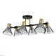 потолочная люстра lumion anriya 8044/6c
