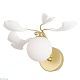 бра crystal lux colibri ap1 gold