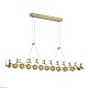 подвесная люстра st luce monro sl6610.203.26