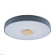потолочный светодиодный светильник loft it axel 10003/24 grey