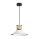 подвесной светильник freya mixture fr5483pl-01b3