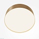 потолочный светильник maytoni technical ceiling zon c032cl-24w4k-rd-mg