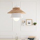 подвесной светильник imperiumloft eco 178163-26