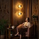 бра citilux jantar cl240313