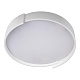 потолочный светодиодный светильник loft it coin 10200 white
