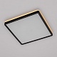 потолочный светильник citilux norma cl748k301