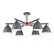 люстра на штанге lumion colange 8096/6c