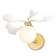 бра crystal lux colibri ap1 gold
