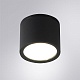 уличный потолочный светильник arte lamp piautos a1913pf-1bk