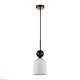 подвесной светильник odeon light midcent lolla 4361/1b