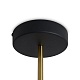 подвесной светильник freya drip fr6173pl-l18b