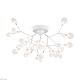 потолочная люстра freya florencia fr5049cl-27w2