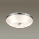 потолочный светильник odeon light walli pelow 4957/5