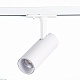 трековый светодиодный светильник st luce mono st350.546.10.36