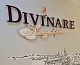 подвесная люстра divinare nova 3001/02 lm-16