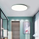 потолочный светильник imperiumloft disc half white 193124-26