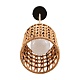 подвесной светильник lumion eco boho 8366/1a