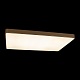 потолочный светодиодный светильник loft it flims 10228/e