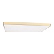 потолочный светодиодный светильник loft it flims 10228/e