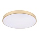 потолочный светодиодный светильник loft it flims 10228/b