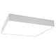 потолочный светильник maytoni technical zon c067cl-l48w3k