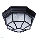 уличный светильник arte lamp pegasus a3100pl-1bk