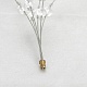 потолочная люстра lussole davie lsp-8781