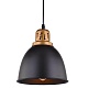 подвесной светильник arte lamp eurica a4245sp-1bk