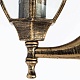 уличный настенный светильник arte lamp pegasus a3151al-1bn