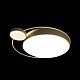 потолочный светодиодный светильник loft it mike 10063