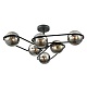 потолочная люстра lumion comfi camilie 8060/6c