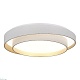 потолочный светильник evoluce crosby sle6009-502-01
