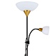 торшер arte lamp duetto a9569pn-2bk
