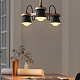 люстра на штанге imperium loft natura 178081-26