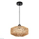 подвесной светильник arte lamp brushwood a7087sp-1bk